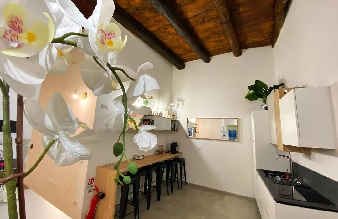 B&B Salerno In Centro-1